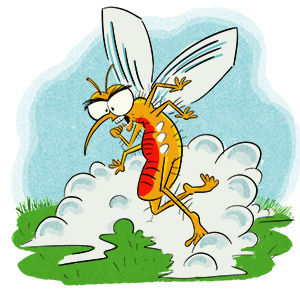 Add Mosquito protection to any of our pest protection plans