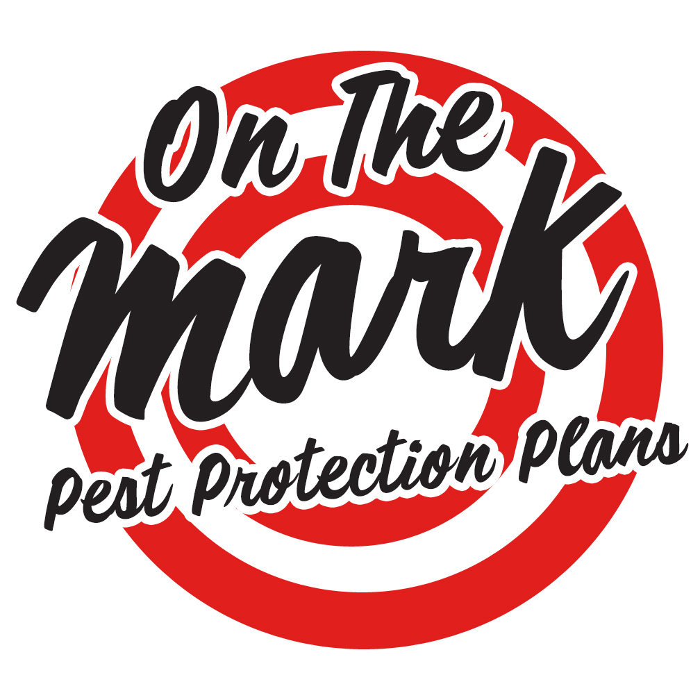 Bulls Eye's On The Mark Pest Protection Plans